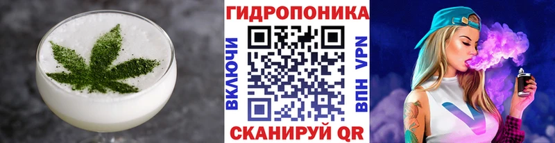 наркошоп  МЕГА tor  Canna-Cookies марихуана  Магас 