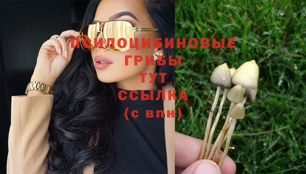 дмт Коряжма